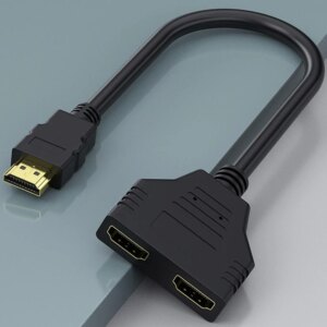 HDMI 2 IN 1