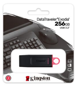 Memoria Usb Kingston Data Traveler Exodia 256 Gb